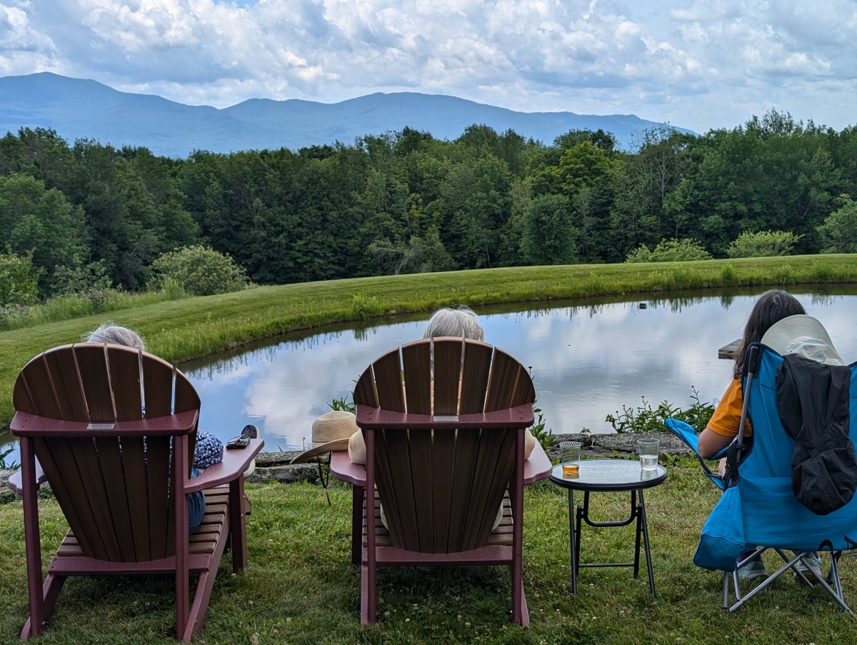 Strawberries with a view, Sterling Pond Hike, Paddling at Waterbury&nbsp;Reservoir.