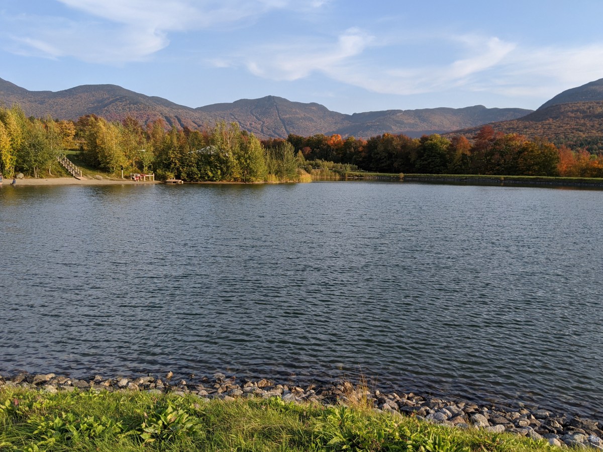 Walk at Smuggs, Picnic at&nbsp;Niquette