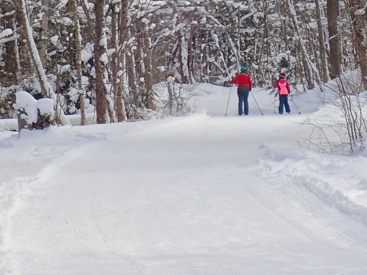 A Breezy Snowy&nbsp;Week