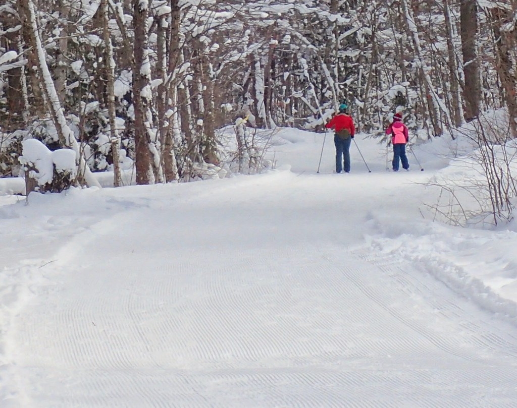 A Breezy Snowy&nbsp;Week