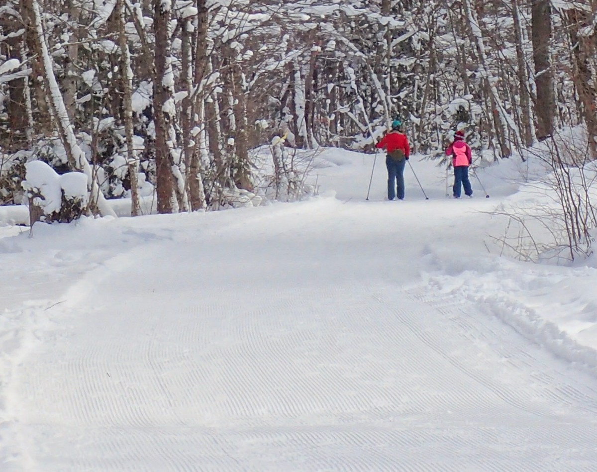 A Breezy Snowy&nbsp;Week