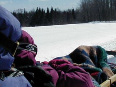 Going To The Dogs? and Medals! St&nbsp;Pat’s.