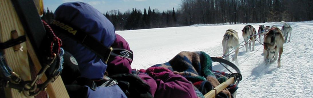 Going To The Dogs? and Medals! St&nbsp;Pat’s.