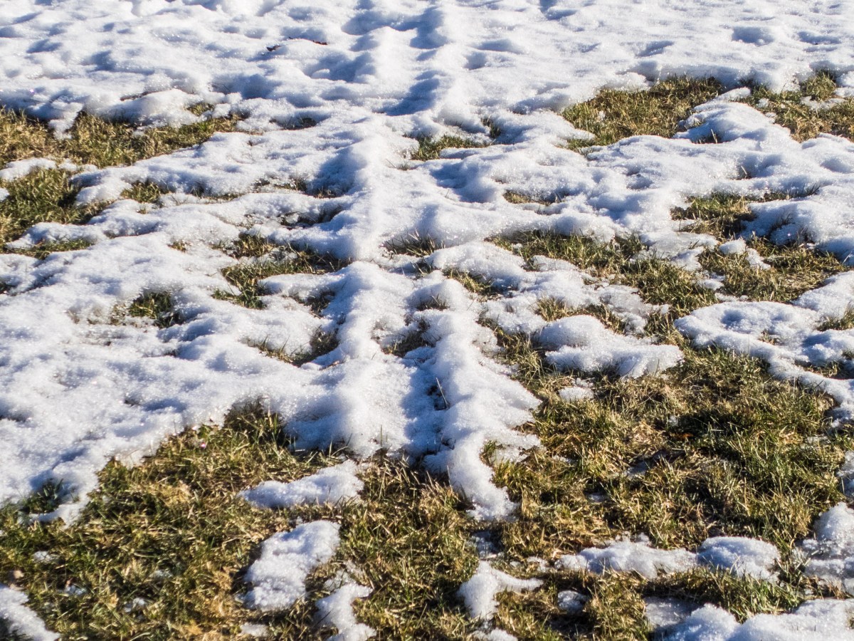 Last Call For Our Last 2026&nbsp;Meeting