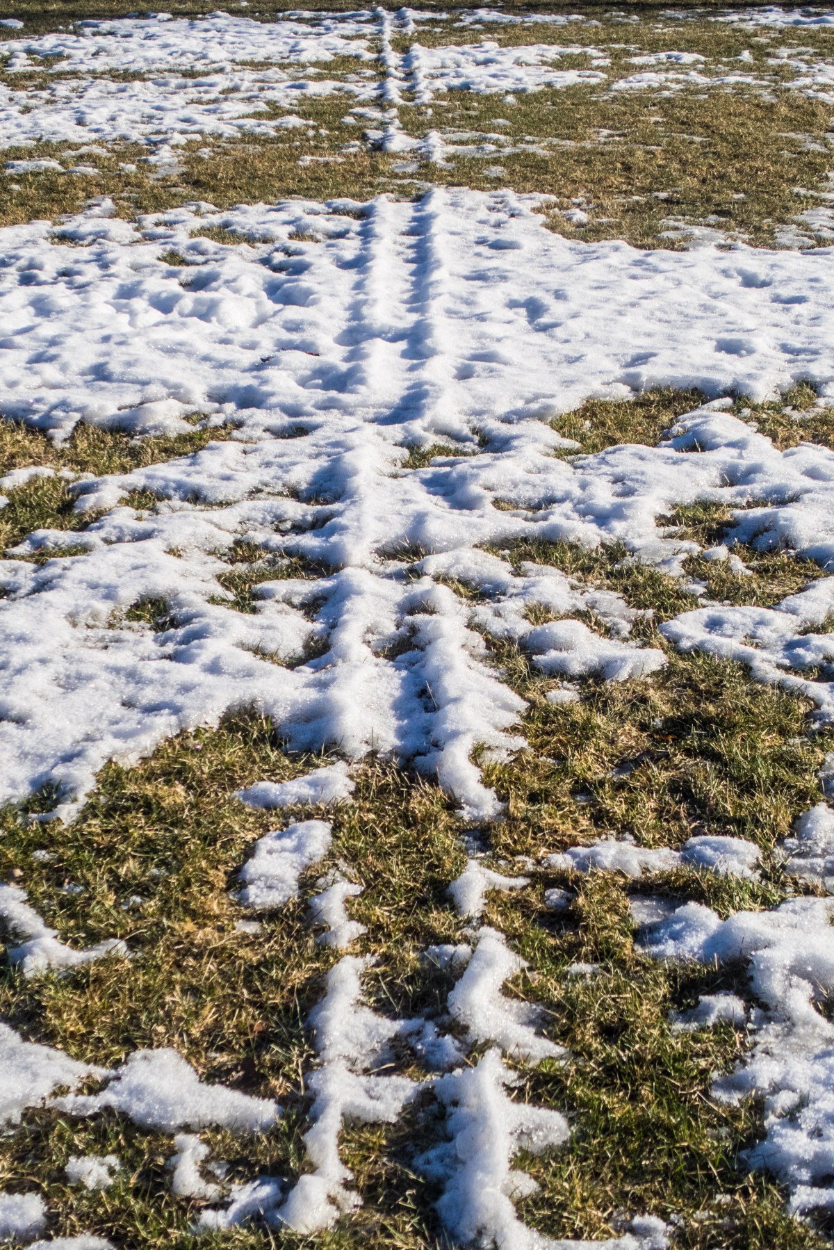 Last Call For Our Last 2026&nbsp;Meeting