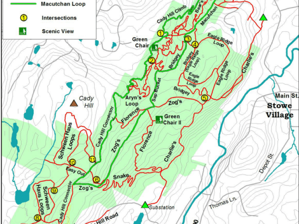 Call for shortbread, First walk, Strawberries with a view, Sterling pond&nbsp;Hike.